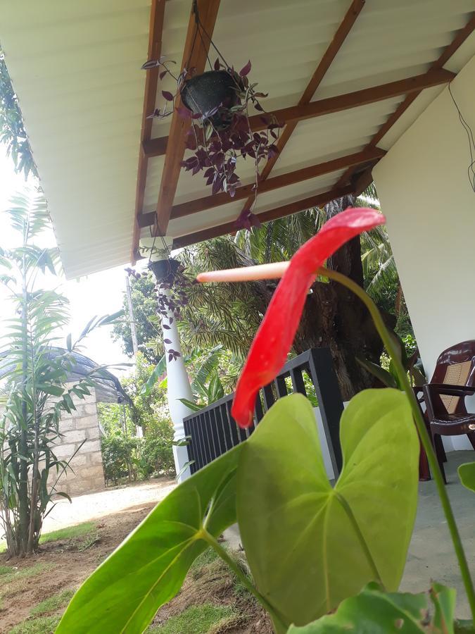 Akila Holiday Resort Habarana Esterno foto